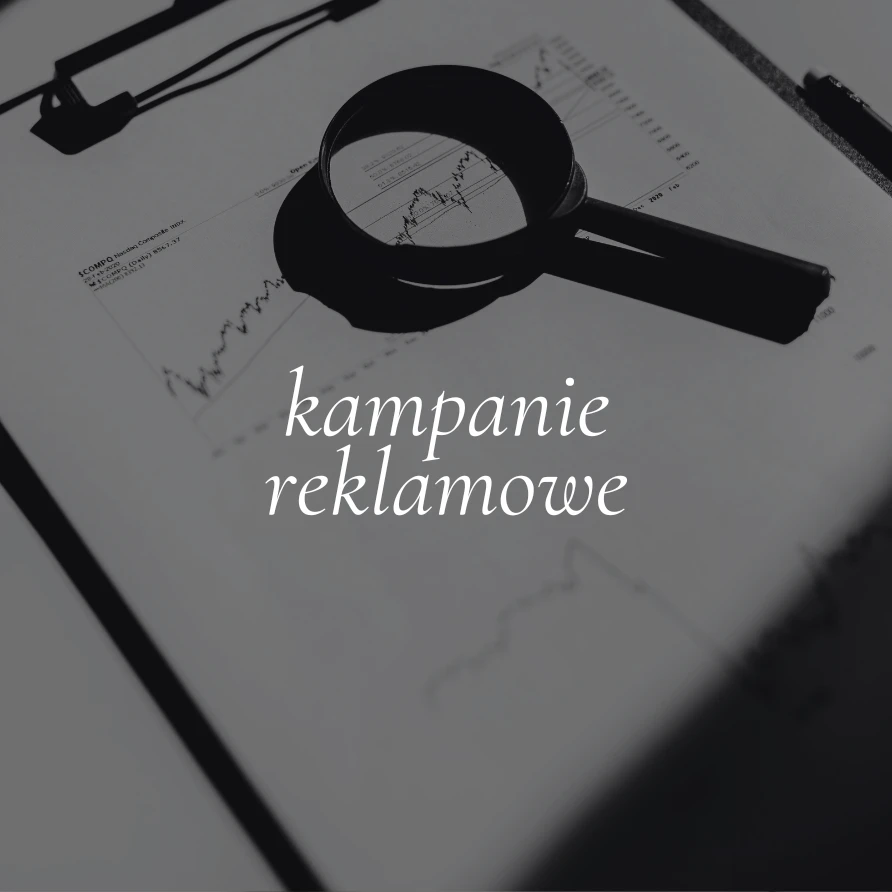 Kampanie reklamowe w social media – Meta Ads i inne platformy
